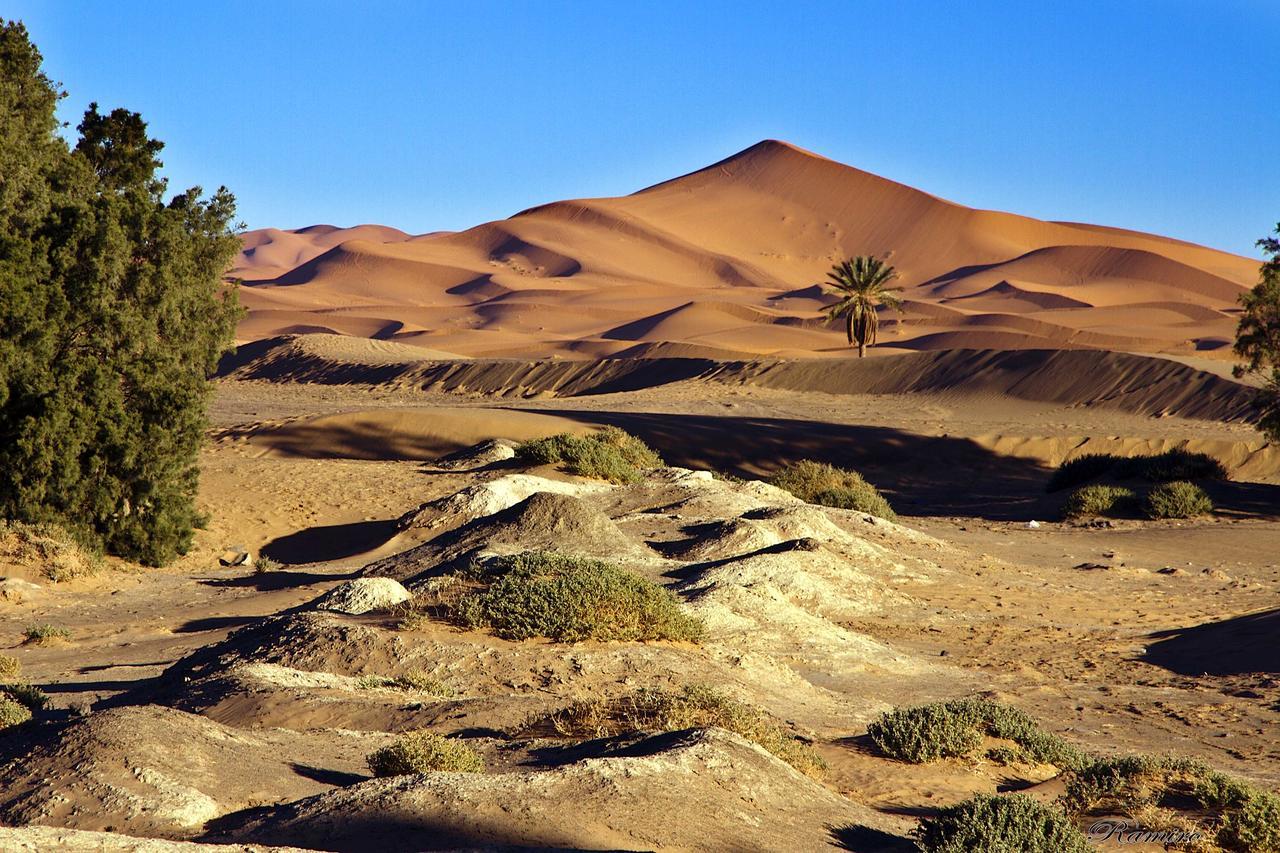 Riadsuerteloca Merzouga Hassilabied Eksteriør bilde The Sahara Desert